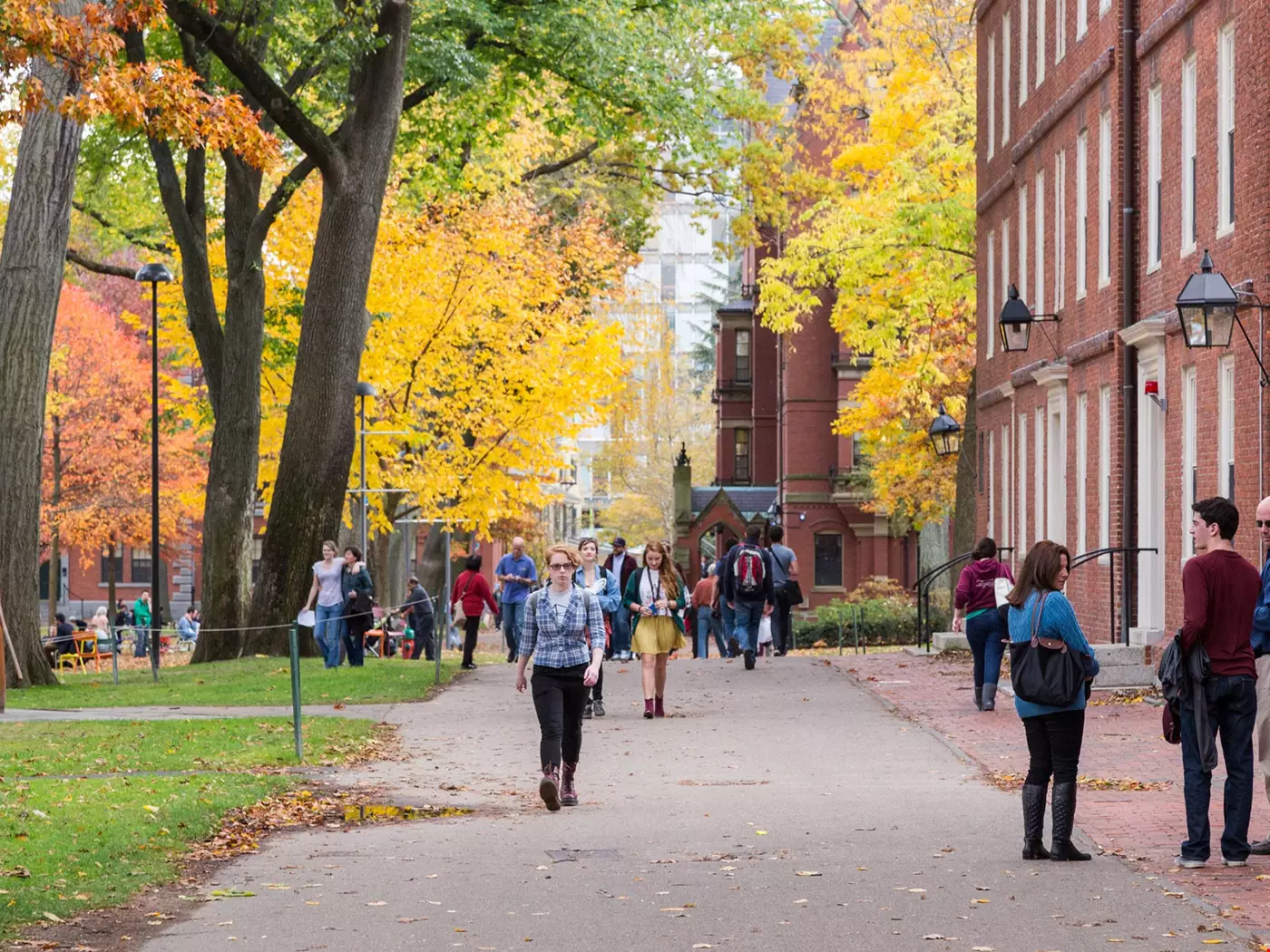 Utanför Harvard University Akavia Aspekt